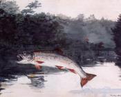 温斯洛 荷默 : Leaping Trout